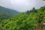 واحد2 در طبقه اول ویلا ماسال