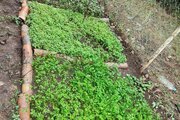 واحد طبقه دوم دوبلکس در گلستان