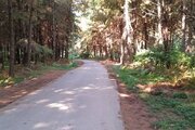 خانه ویلایی دو خواب مبله در صومعه سرا