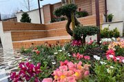 کلبه سوئیسی دوبلکس جکوزی دار دوخواب در ماسال