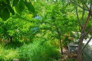 ویلا استخردار دوخواب مبله در ساوجبلاغ
