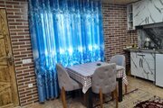 سوئیت جنگلی زمرد در رامسر