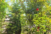 ویلا دوخواب ملبه در فریدونکنار