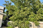 واحد تالش 3 دو خواب در طبقه اول ویلای تالش