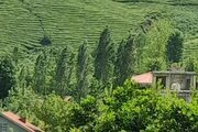 ویلا دوخواب مبله کوهپایه قلعه رودخان در فومن