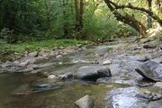 ویلا تکخواب روستایی طبیعت در ماسال
