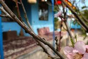 خانه ویلایی تکخواب مبله در صومعه سرا