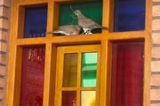 اتاق دو نفره با سرویس فرنگی در هتل تهران