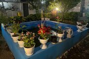 کلبه سوئیسی دوبلکس سهیل در لاهیجان