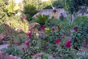 واحد در طبقه همکف ویلای مروارید محمودآباد