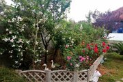 سوئیت مبله 50 متری در رشت