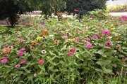 کلبه چوبی دوبلکس دو خواب چشمه در روستا ورمیه ماسال