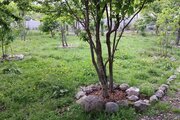 ویلا تکخواب شمس در ماسال