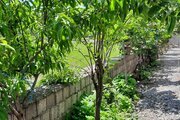 ویلا تکخواب چیچینی در رشت
