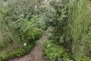 واحد دو خواب در طبقه ی همکف ویلا لاهیجان
