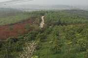ویلای جنگلی در بابل