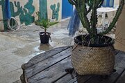 واحد دوخواب دریا 1 در بومگردی تورگان قشم