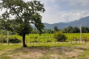 ویلای جنگلی در مرکیه ماسال