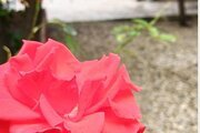 ویلای امیرعلی در رامسر