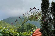 واحد مبله تکخواب اردیکده در طبقه اول ویلای کلاردشت