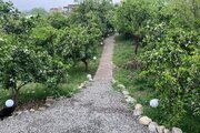 کلبه سوئیسی دوبلکس دوخواب در سوادکوه
