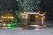 اجاره کلبه دوبلکس تکخواب مبله اقاقیا در رشت