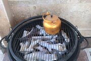 باغ ویلا سه خواب مبله استخردار در رشت