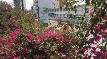 ویلا یک خواب ساحلی طبقه دوم در فریدونکنار 108