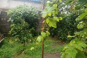 ویلا مبله تک خواب در کیاشهر
