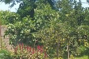 واحد دوبلکس در طبقه همکف ویلا مانی تالش