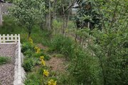 کلبه سوئیسی دوبلکس مبله تکخواب صدرا در ماسال
