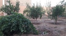 خانه باغ نوساز در کاشان