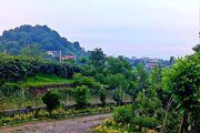 واحد دو خواب افرا در طبقه اول ویلای لیسار