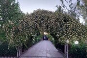 ویلا دو خواب استخردار باغ گیلاس در چهارباغ