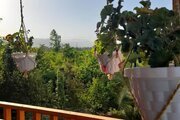 کلبه چوبی مبله دوخواب ماهور در ماسال