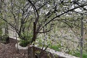 ویلا دوبلکس مبله تکخواب گل چشمه در فشم
