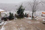ویلا تکخواب سنتی جنگلی در رودبار