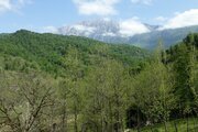 باغ ویلا تک خواب مبله در رودبار