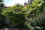 سوئیت 75 متری گرین لایف 1 در تبریز