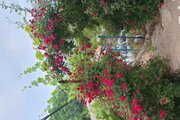 واحد دو خواب در طبقه اول ویلا روستای افراتخته