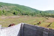 ویلا باغ مبله دو خواب بوستان فدک در رودبار