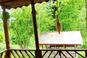 کلبه چوبی آرامش در ماسال