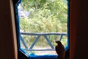 کلبه 30 متری مبله در چمستان