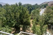آپارتمان مبله دو خواب استخردار در باغبهادران