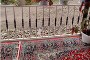 ویلا جنگلی دو خواب در ماسال