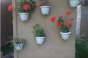 جاره سوئیت ویلا فردوس در ماسال