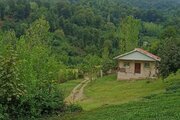 ویلا جنگلی دوخواب در فومن