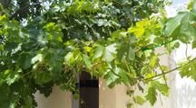 آپارتمان یک خواب در دنا 1
