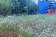کلبه سوئیسی مبله دوخواب برکه در ماسال