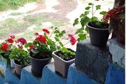 ویلای بدون اتاق زمرد در تالش